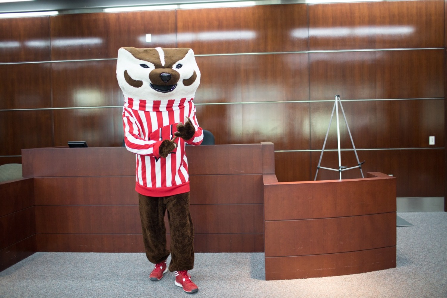 Bucky in the courtroom